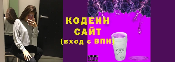 крисы Лабытнанги