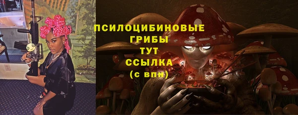 крисы Лабытнанги