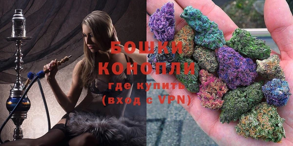 крисы Лабытнанги