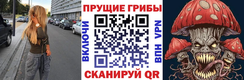 Псилоцибиновые грибы мицелий  Сунжа 
