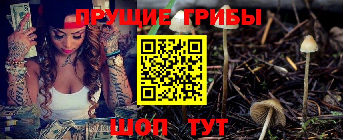 Сунжа  Псилоцибиновые грибы мицелий  Вход с VPN 