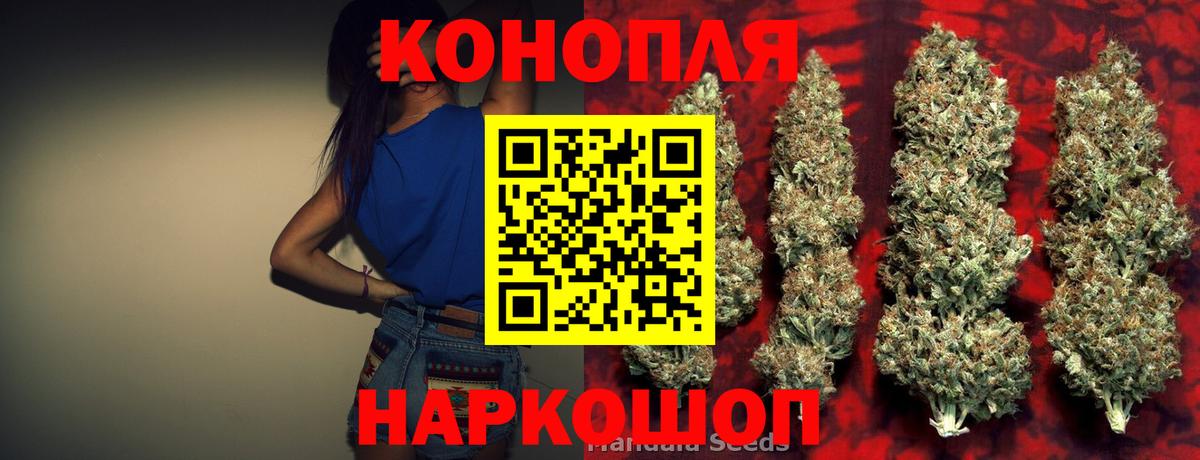 Шишки марихуана конопля Сунжа