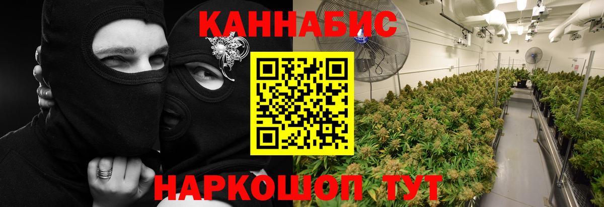 Шишки марихуана конопля  Марихуана White Widow  Сунжа  МАРИХУАНА SATIVA & INDICA  Вход с VPN 